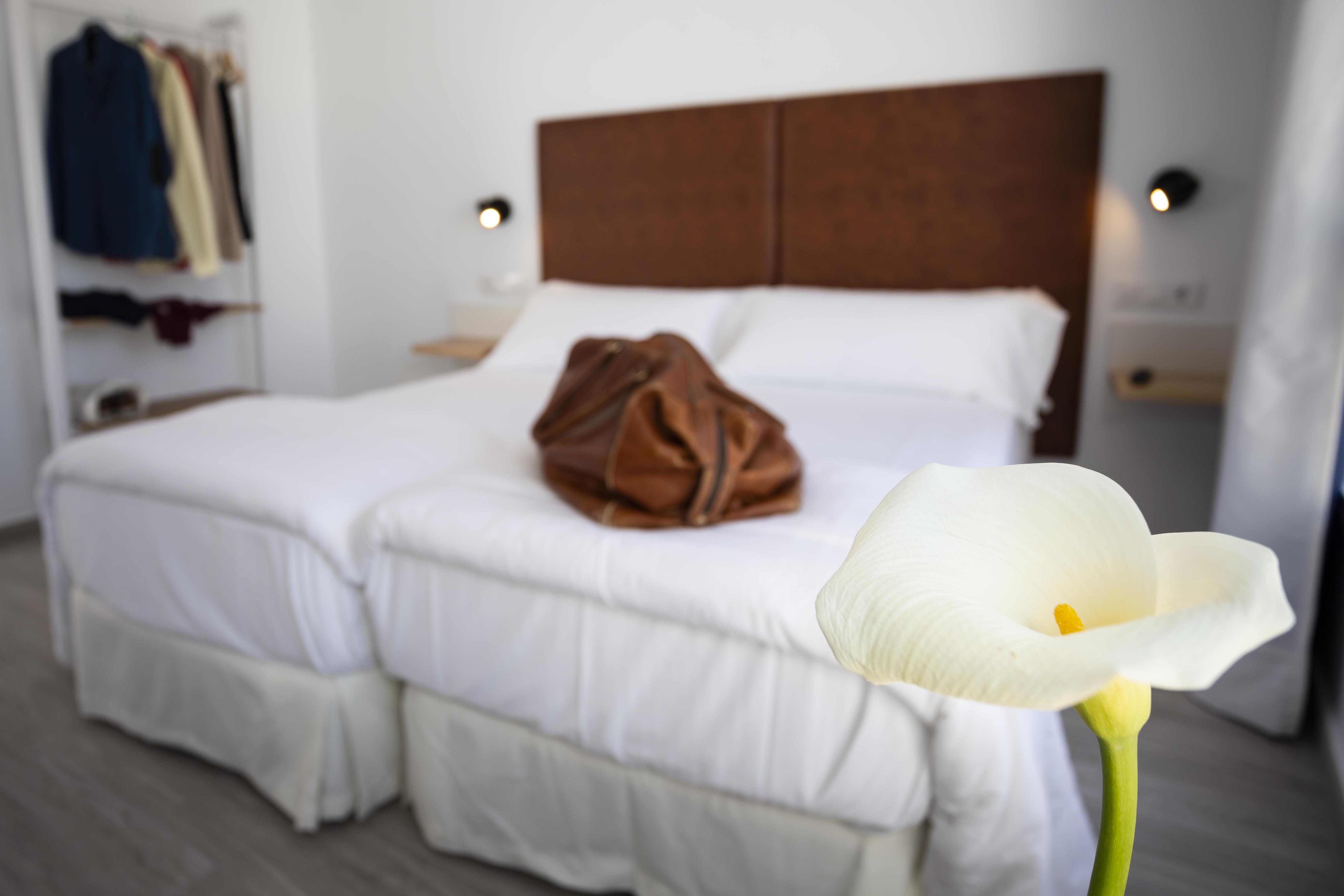 Basic Hotel Sevilla Catedral Eksteriør bilde